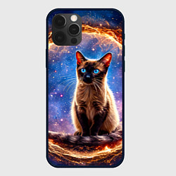 Чехол iPhone 12 Pro Max Сиамская кошка в космосе