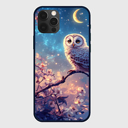 Чехол iPhone 12 Pro Max Сова на фоне ночного неба