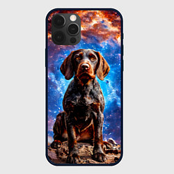 Чехол iPhone 12 Pro Max Дратхаар в космосе