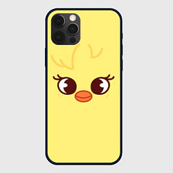 Чехол iPhone 12 Pro Max BbokAri skzoo