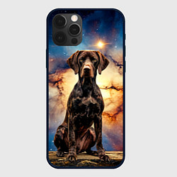 Чехол для iPhone 12 Pro Max Курцхаар и космос, цвет: 3D-черный