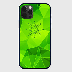 Чехол для iPhone 12 Pro Max Dark Souls green poly, цвет: 3D-черный