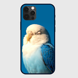 Чехол iPhone 12 Pro Max Волнистый попугай - синий