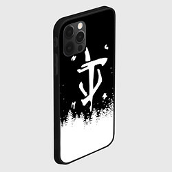 Чехол для iPhone 12 Pro Max Doom winter wild, цвет: 3D-черный — фото 2