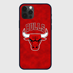 Чехол iPhone 12 Pro Max NBA Chicago Bulls