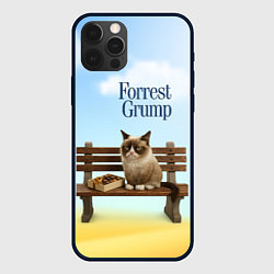 Чехол iPhone 12 Pro Max Пародия Форрест Гамп - кот на скамейке