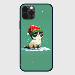 Чехол для iPhone 12 Pro Max Новогодний мем котик, цвет: 3D-черный