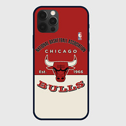 Чехол iPhone 12 Pro Max NBA Bulls Vintage