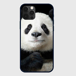 Чехол iPhone 12 Pro Max Взгляд пандочки
