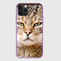 Чехол iPhone 12 Pro Max Взгляд кошки