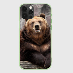 Чехол для iPhone 12 Pro Max Русский медведь, цвет: 3D-салатовый