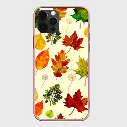 Чехол для iPhone 12 Pro Max Осень, цвет: 3D-светло-розовый