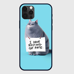 Чехол для iPhone 12 Pro Max I have resing cat face, цвет: 3D-черный