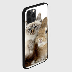 Чехол для iPhone 12 Pro Max Кот и кролик пушистые, цвет: 3D-черный — фото 2
