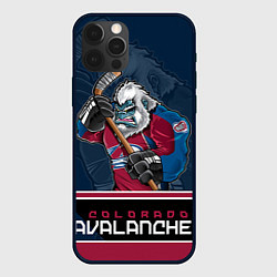 Чехол iPhone 12 Pro Colorado Avalanche