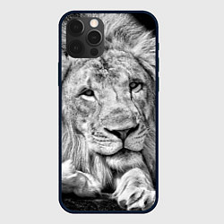 Чехол для iPhone 12 Pro Милый лев, цвет: 3D-черный