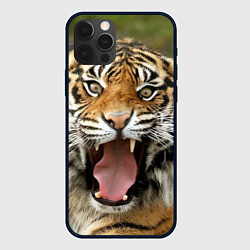 Чехол для iPhone 12 Pro Удивленный тигр, цвет: 3D-черный