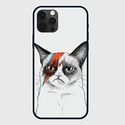 Чехол для iPhone 12 Pro David Bowie: Grumpy cat, цвет: 3D-черный