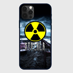 Чехол для iPhone 12 Pro S.T.A.L.K.E.R: Radiation, цвет: 3D-черный