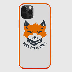 Чехол iPhone 12 Pro Hello Fox