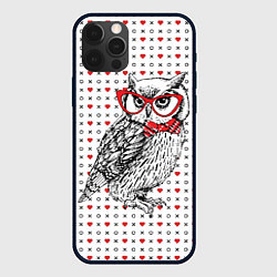 Чехол iPhone 12 Pro Мудрая сова в очках