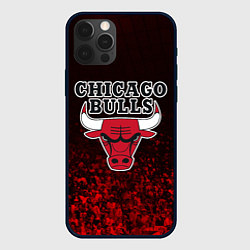 Чехол iPhone 12 Pro CHICAGO BULLS