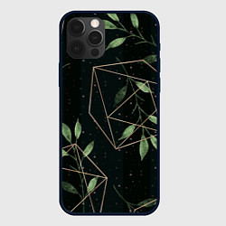 Чехол для iPhone 12 Pro Геометрия в природе, цвет: 3D-черный