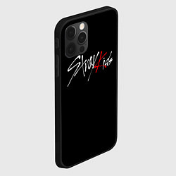 Чехол для iPhone 12 Pro STRAY KIDS, цвет: 3D-черный — фото 2