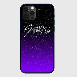 Чехол для iPhone 12 Pro STRAY KIDS, цвет: 3D-черный