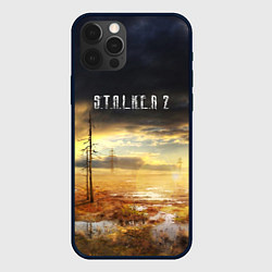 Чехол iPhone 12 Pro STALKER 2