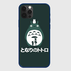 Чехол iPhone 12 Pro Totoro