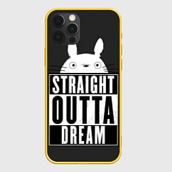 Чехол iPhone 12 Pro Тоторо Straight outta dream