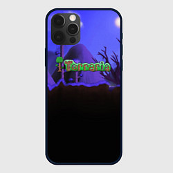 Чехол iPhone 12 Pro TERRARIA