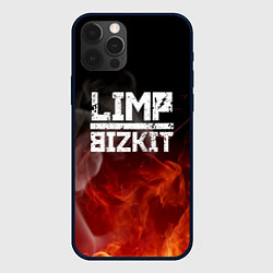 Чехол для iPhone 12 Pro LIMP BIZKIT, цвет: 3D-черный