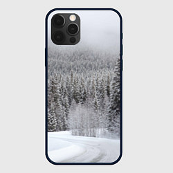 Чехол iPhone 12 Pro Зимняя природа