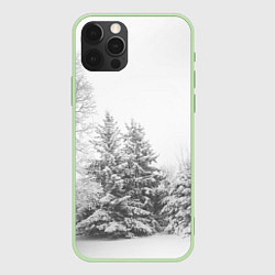 Чехол iPhone 12 Pro Winter Storm
