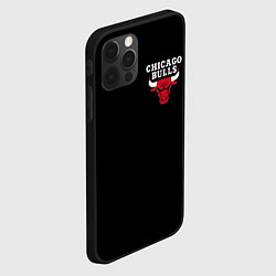 Чехол для iPhone 12 Pro CHICAGO BULLS, цвет: 3D-черный — фото 2