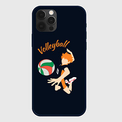 Чехол для iPhone 12 Pro Волейбол, цвет: 3D-черный