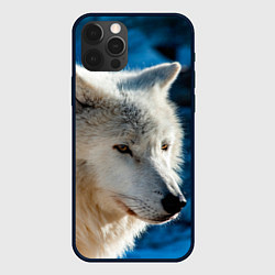 Чехол для iPhone 12 Pro Волк на черном фоне, цвет: 3D-черный
