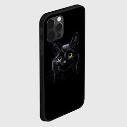Чехол для iPhone 12 Pro Кот, цвет: 3D-черный — фото 2