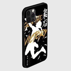 Чехол для iPhone 12 Pro Haikyuu Haikyu Haikuu, цвет: 3D-черный — фото 2