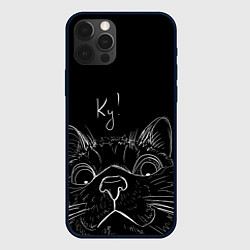Чехол для iPhone 12 Pro Говорящий кот, цвет: 3D-черный