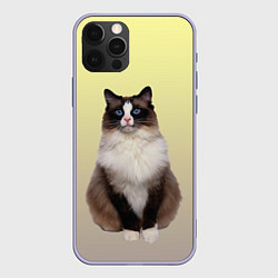 Чехол iPhone 12 Pro Персидская пушистая кошка