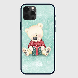 Чехол iPhone 12 Pro Медвежонок с подарком