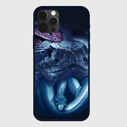 Чехол iPhone 12 Pro Мифические змеи