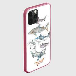Чехол для iPhone 12 Pro Акулы, цвет: 3D-малиновый — фото 2