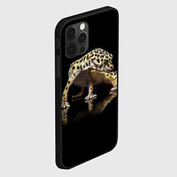 Чехол для iPhone 12 Pro ЭУБЛЕФАР EUBLEPHARIS, цвет: 3D-черный — фото 2