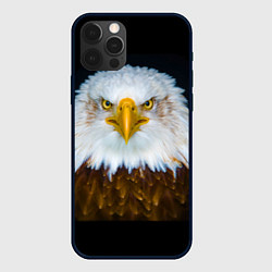 Чехол для iPhone 12 Pro Белоголовый орлан, цвет: 3D-черный