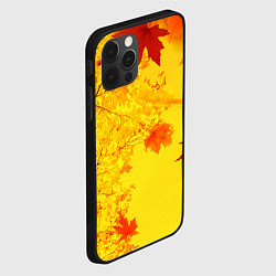 Чехол для iPhone 12 Pro ОСЕННИЕ ЦВЕТА ЗОЛОТАЯ ОСЕНЬ, цвет: 3D-черный — фото 2