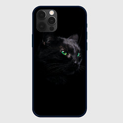 Чехол для iPhone 12 Pro Черна кошка с изумрудными глазами, цвет: 3D-черный